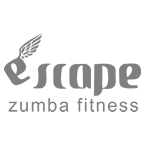 Zumba Fitness Website and Brand Optimization